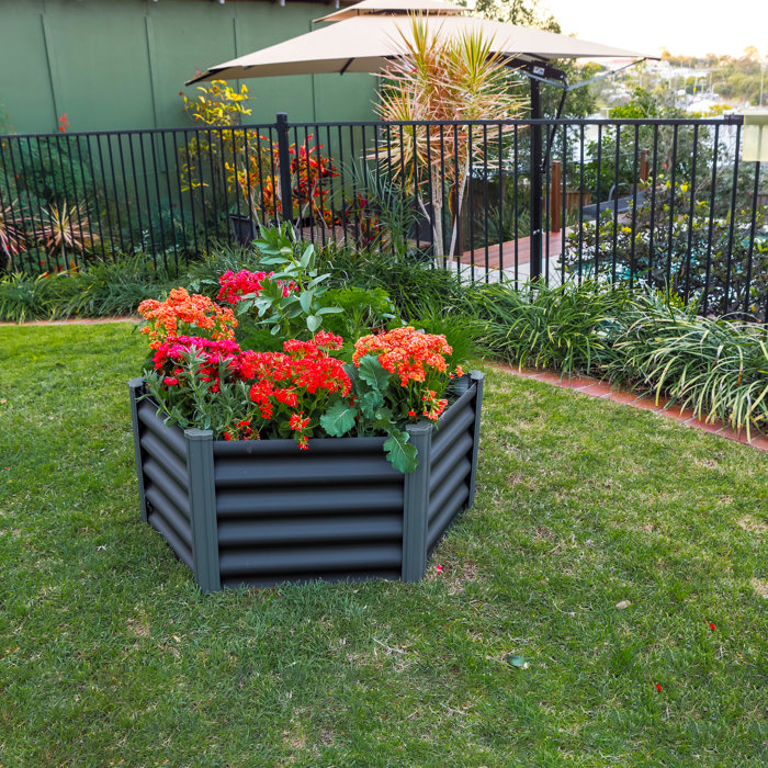 The Organic Garden Co. 2 ft x 3 ft Metal Raised Garden Bed | Wayfair